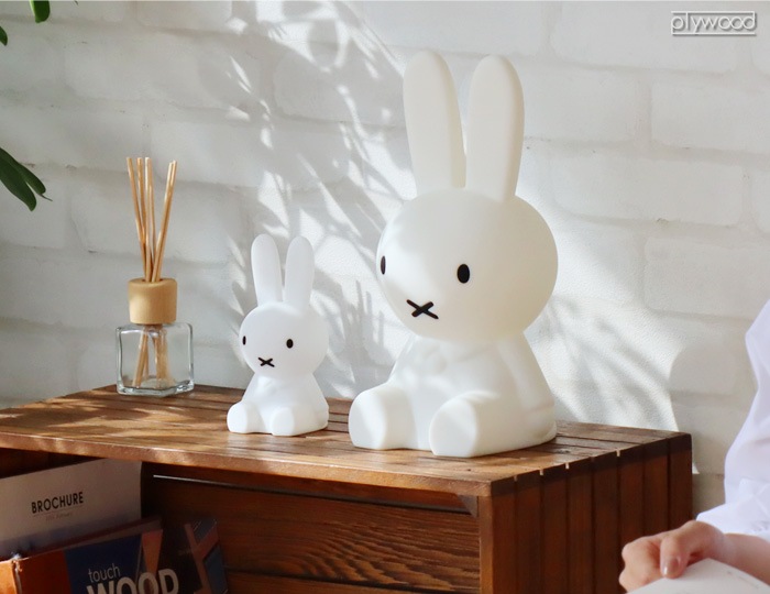 ミッフィーライト ♡ first right(miffy and friends