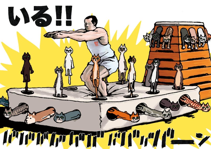 ねこい11