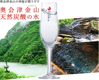 送料無料 奥会津金山 かねやま 天然炭酸の水 350ml ペットボトル 12本 奥会津金山 天然炭酸の水 国産天然炭酸水 オンラインショップ