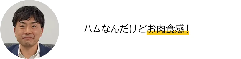 ハムなんだけどお肉食感！