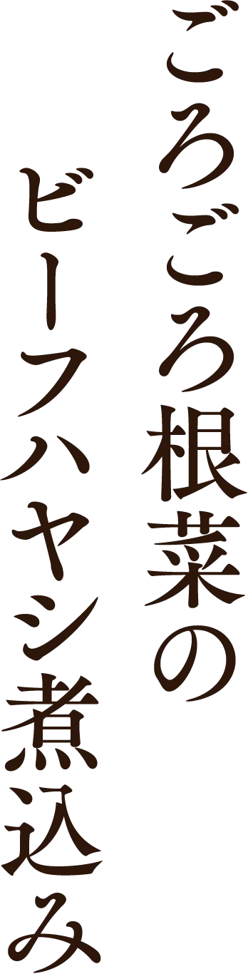 ごろごろ根菜のビーフハヤシ煮込み