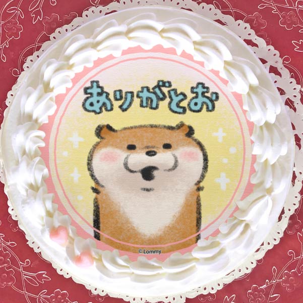 プリケーキ(ありがとう柄)【特典／丸型缶バッジ付き】[可愛い嘘のカワウソ] 5号 15cm 1