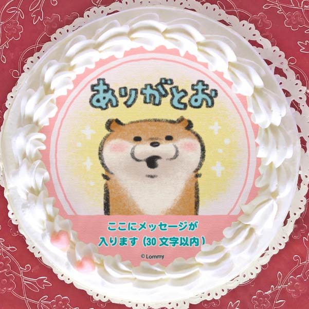 【メッセージ入り】プリケーキ(ありがとう柄)【特典／丸型缶バッジ付き】[可愛い嘘のカワウソ] 5号 15cm 1