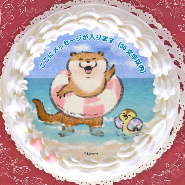 ybZ[WzvP[L(핿)yT^ی^ʃobWtz[R̃JE\] 5 15cm