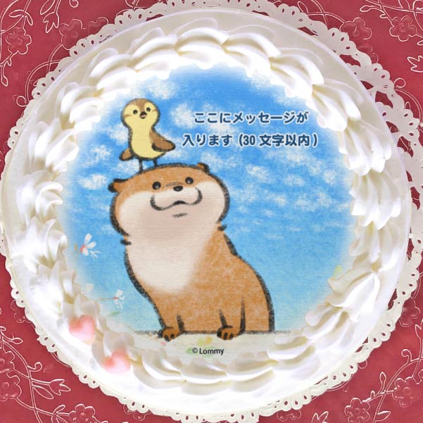 ybZ[WzvP[L(낱_)yT^ی^ʃobWtz[R̃JE\] 5 15cm