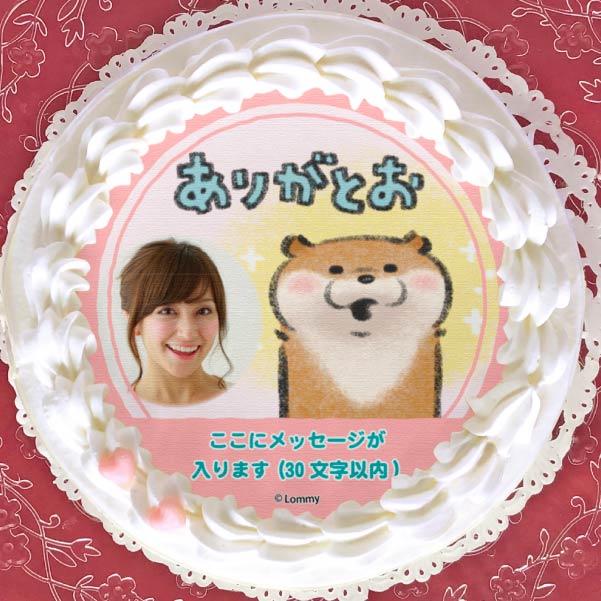 yʐ^bZ[WzvP[L(肪Ƃ)yT^ی^ʃobWtz[R̃JE\] 5 15cm