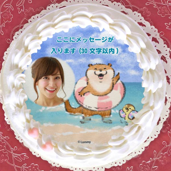 yʐ^bZ[WzvP[L(핿)yT^ی^ʃobWtz[R̃JE\] 5 15cm