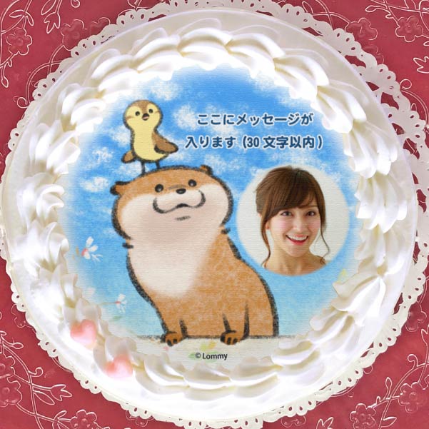 yʐ^bZ[WzvP[L(낱_)yT^ی^ʃobWtz[R̃JE\] 5 15cm