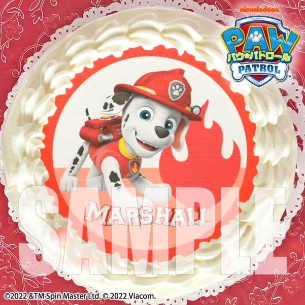 �v���P�[�L(MARSHALL)[�p�E�E�p�g���[��] 5�� 15cm