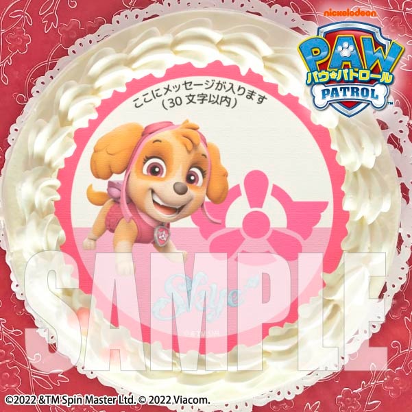 ybZ[WzvP[L(SKYE)[pEEpg[] 5 15cm