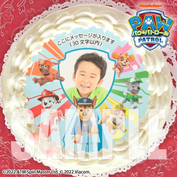 【写真メッセージ入り】プリケーキ(集合)[パウ・パトロール] 5号 15cm