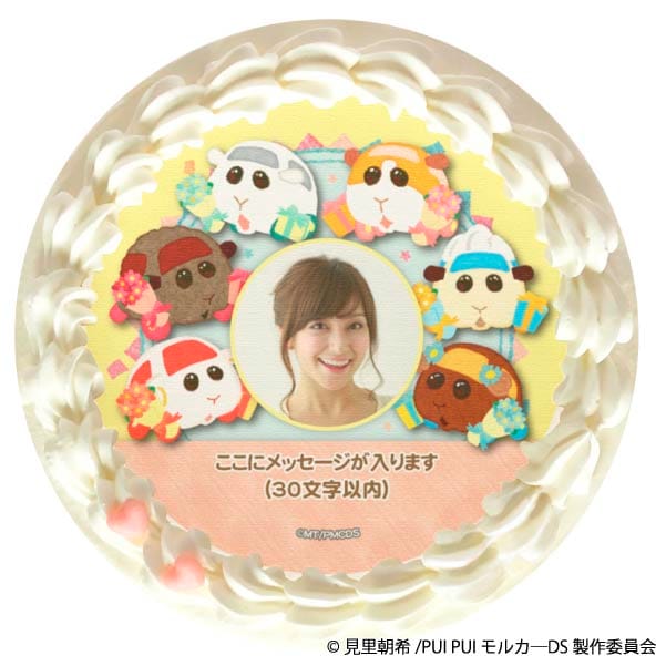 yʐ^bZ[Wz vP[L(|egVAr[`RefB&[Y)[PUI PUI J[] 5 15cm