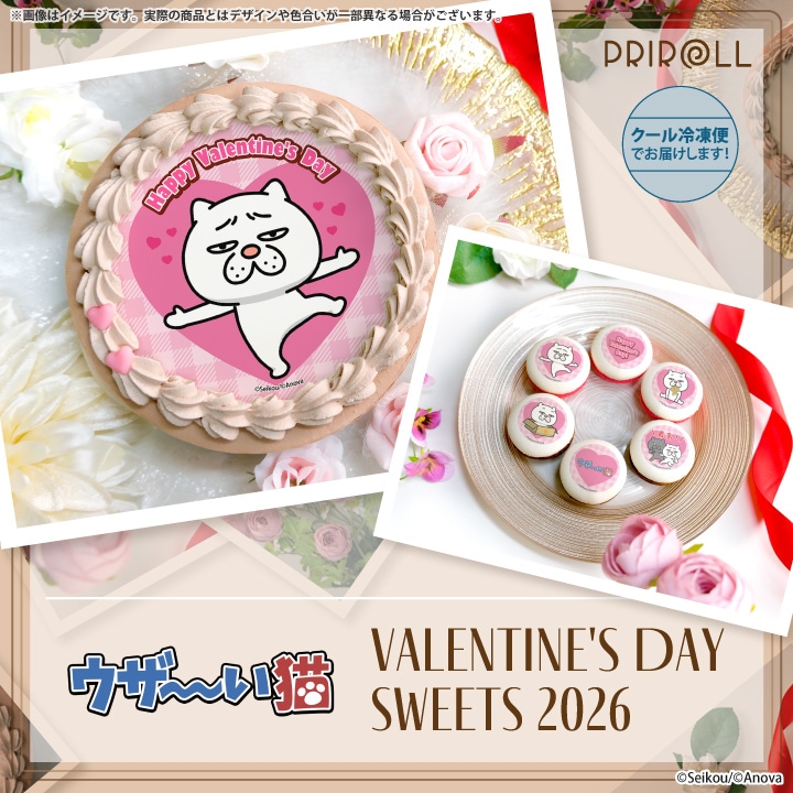 公式】2026商品 ケーキ・マカロン・カップケーキ【PRIROLL(プリロール