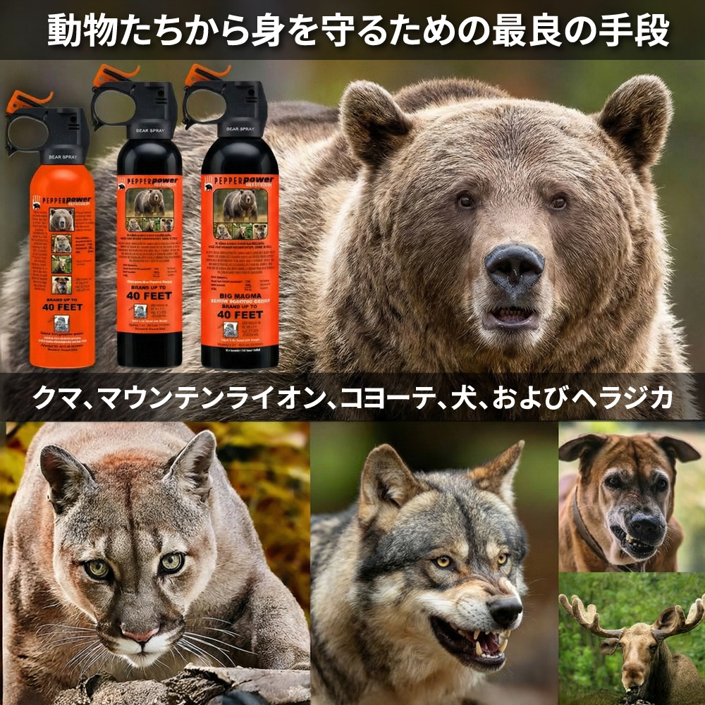 ������ѿ��ޡۻ������Ӥ����������̥���ѥ��Ȥ˼�Ǽ