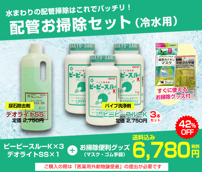 配管お掃除セット 冷水用 ピーピースルーk 3本 デオライトss 医薬用外劇物譲受書が必要です 医薬用外劇物 電動工具のプロ工具 Com