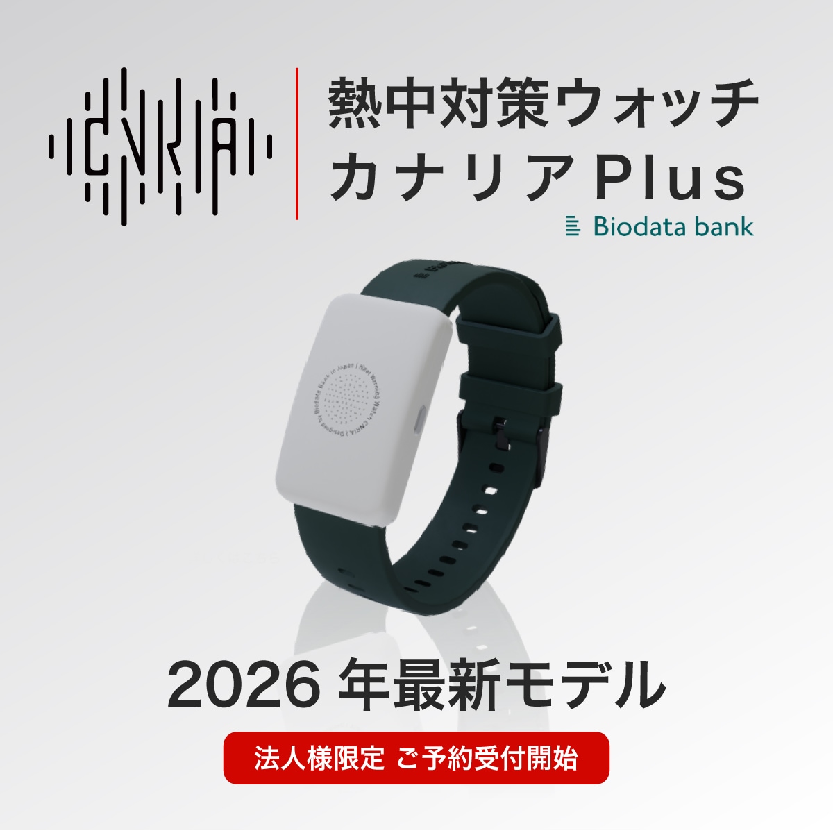 カナリア2026年モデルの予約受付を開始いたしました