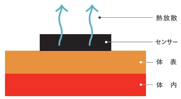深部体温推定技術