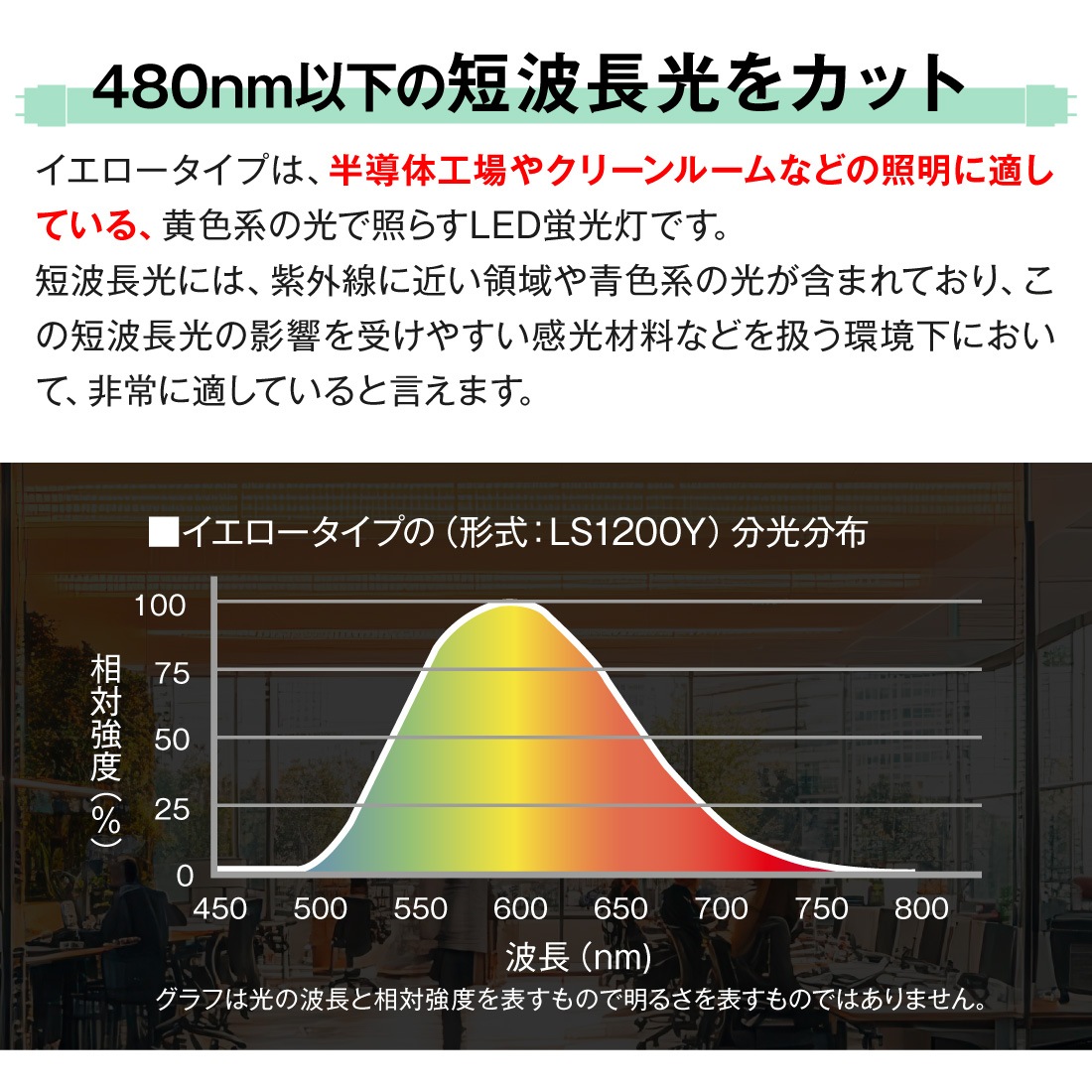 イエロータイプ