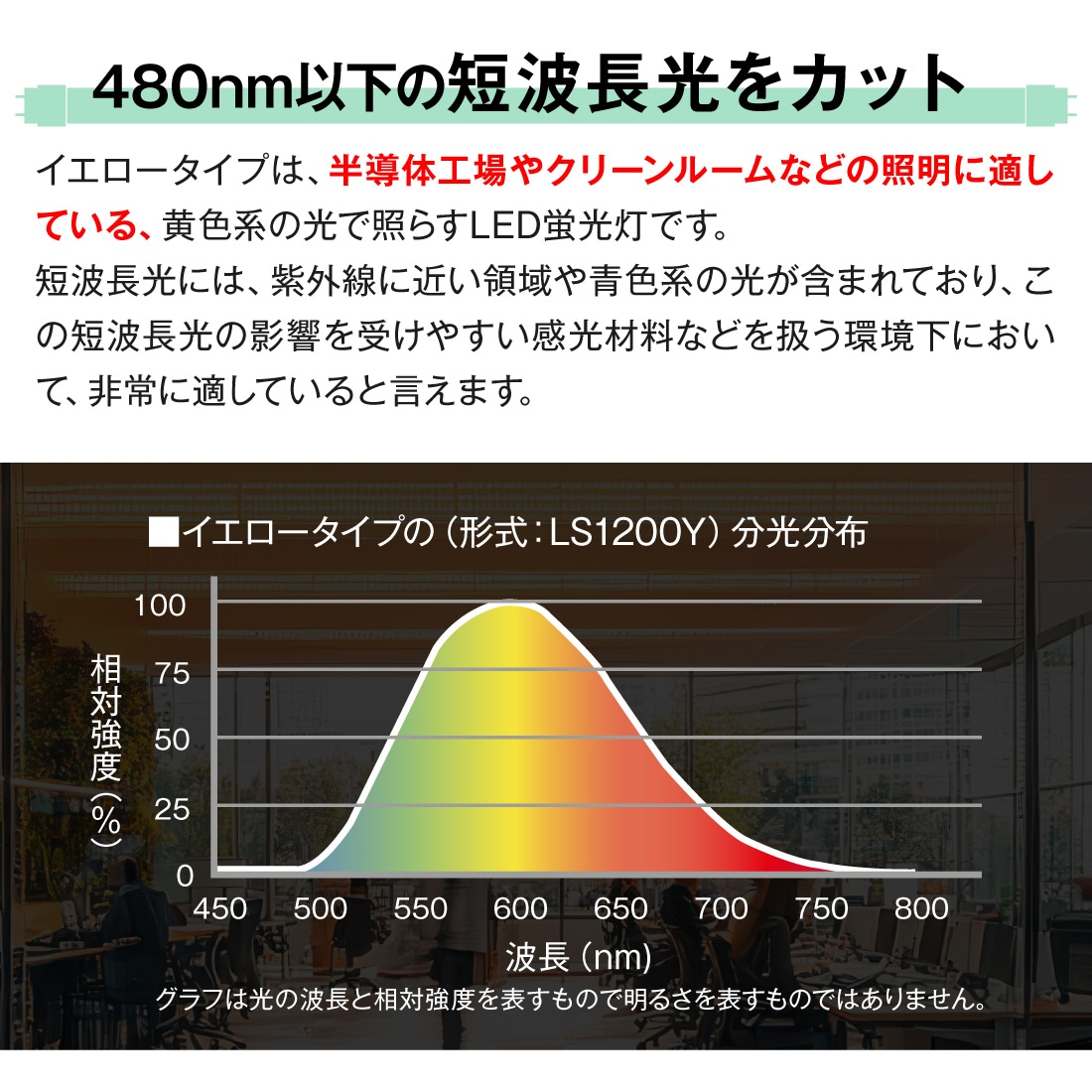 イエロータイプ