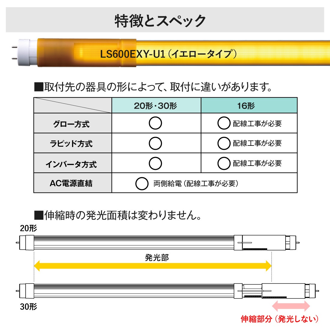 特徴