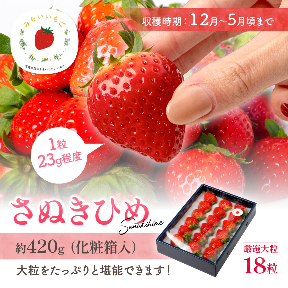 さぬきひめ 2Lサイズ 贈答用 いちご 18粒入（1箱約420g）1果重 重量23g