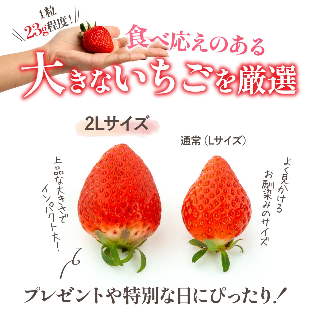 さぬきひめ 2Lサイズ 贈答用 いちご 18粒入（1箱約420g）1果重 重量23g