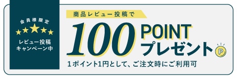 レビュー投稿で100ポイントプレゼント