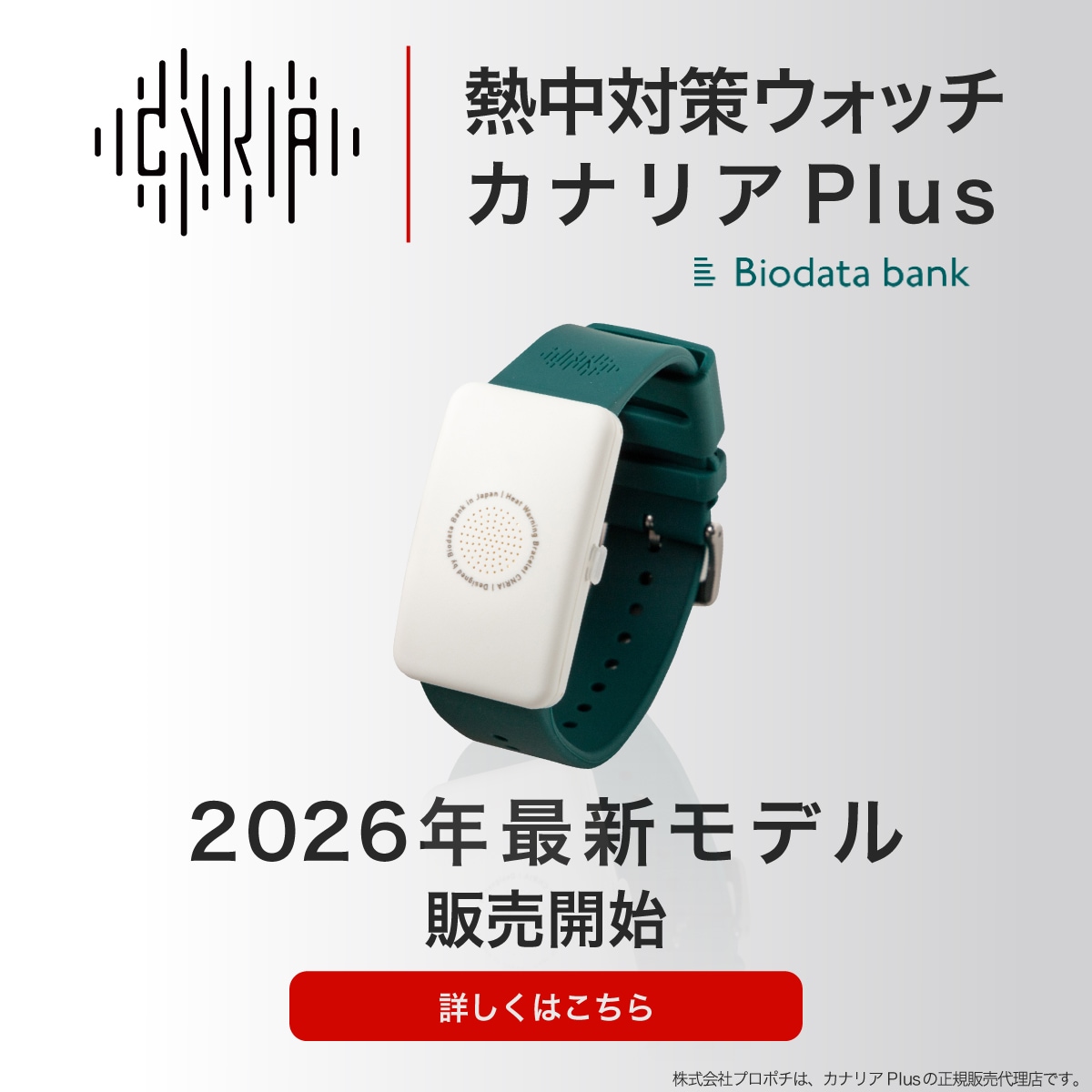カナリア2026年モデルの製品情報・お見積り