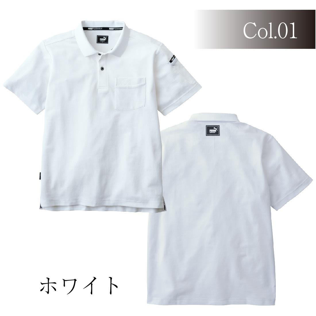 ホワイトカラー(白)の紹介。