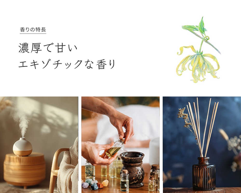 Prost Luxury Oil イランイラン3rdグレード 100ml ピュア