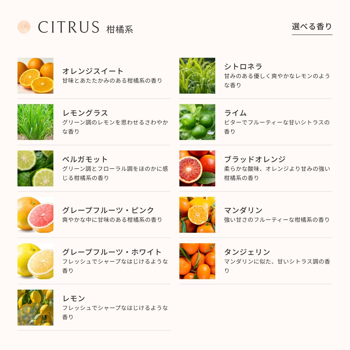 アロマオイル 45種類から選べる 7本セット Prost Luxury Oil ピュア