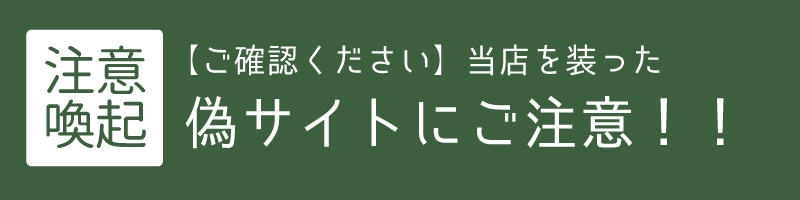 偽サイト、なりすましサイトについて