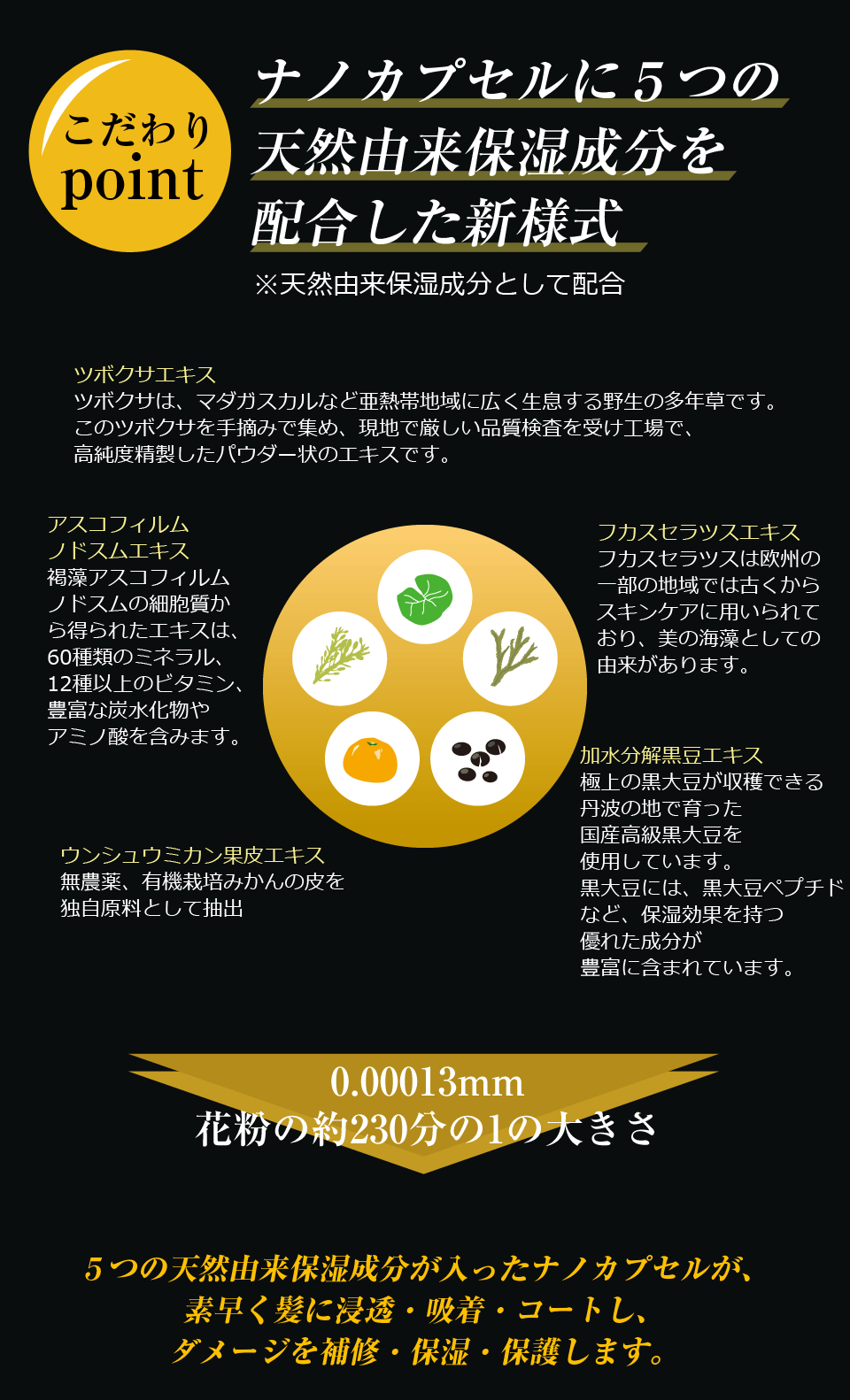 薬用プロテインシャンプー プログノ ゼロファイブ 2本セット 【医薬部