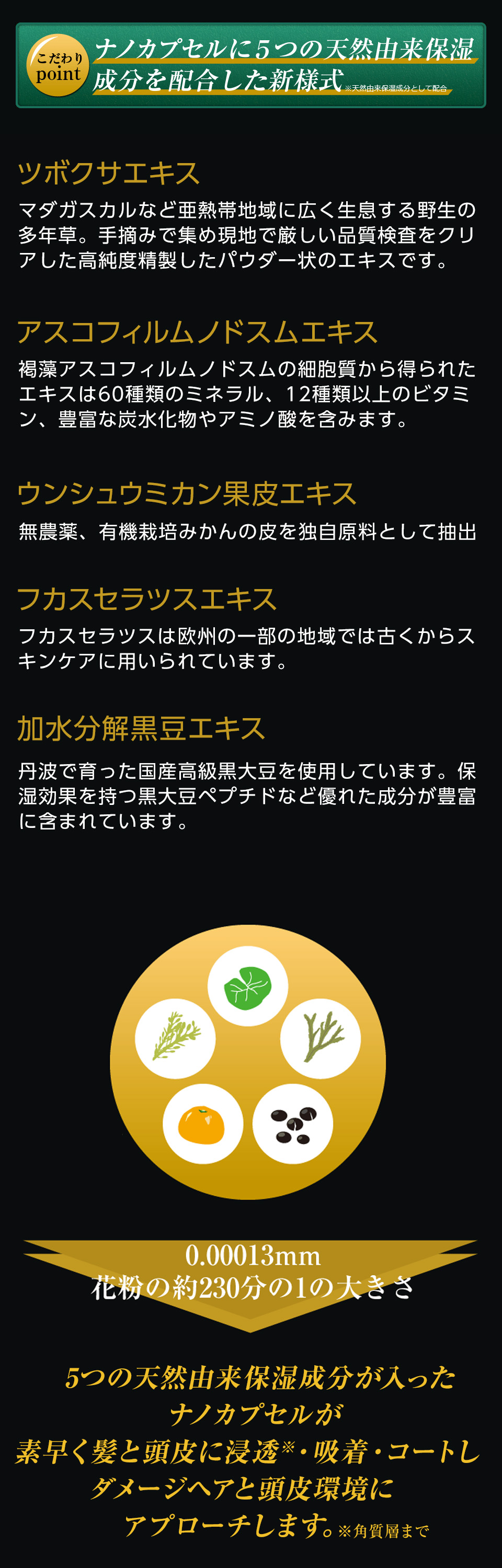 �۹礷�Ƥ���5�Ĥ�ŷ��ͳ���ݼ���ʬ���Ĥ����᤿�ʥΥ��ץ��뤬ȱ��Ƭ��Υ��᡼�����佤���ݼ����뤳�Ȥ��������������