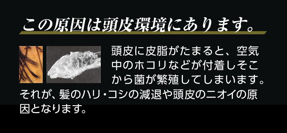 薬用プロテインシャンプー プログノ ゼロ-ファイブ【医薬部外品