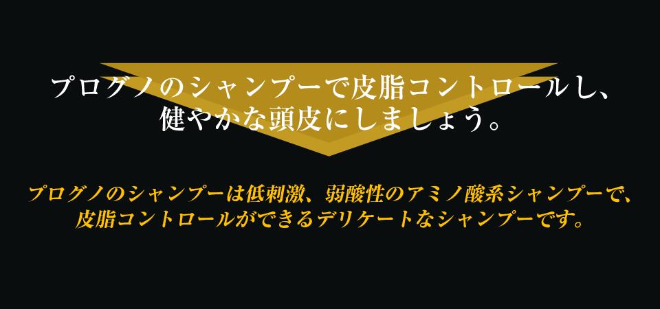 薬用プロテインシャンプー プログノ ゼロ-ファイブ【医薬部外品