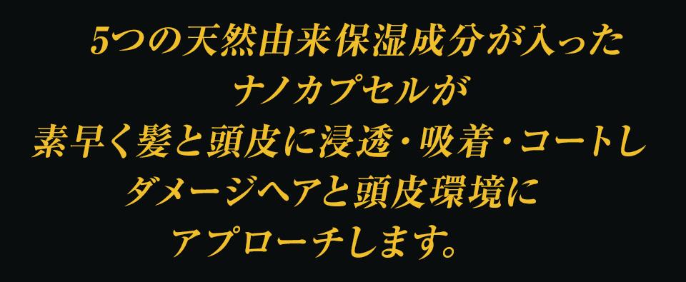 薬用プロテインシャンプー プログノ ゼロ-ファイブ【医薬部外品