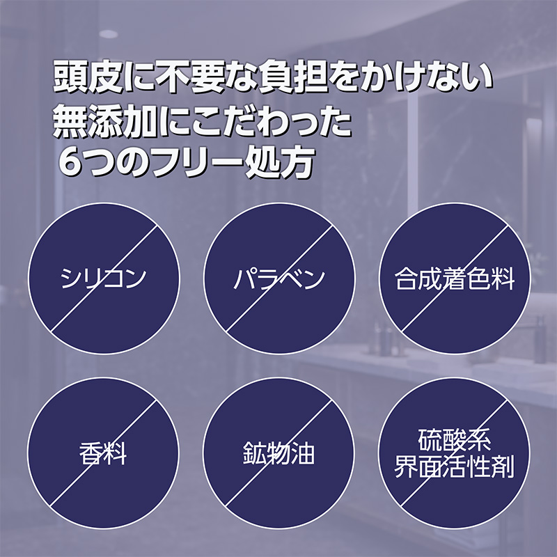 6�ĤΥե꡼����