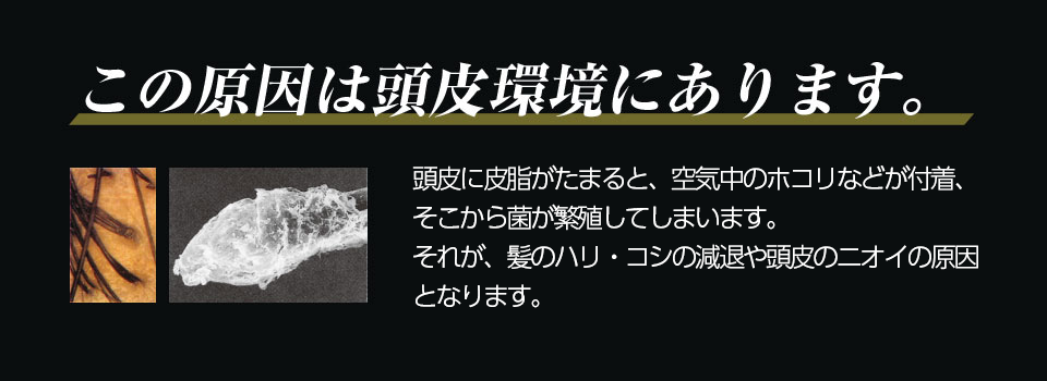 薬用プロテインシャンプー プログノ ゼロファイブ【医薬部外品】｜ヘアコンタクト・増毛・育毛・発毛ならプロピア Propia