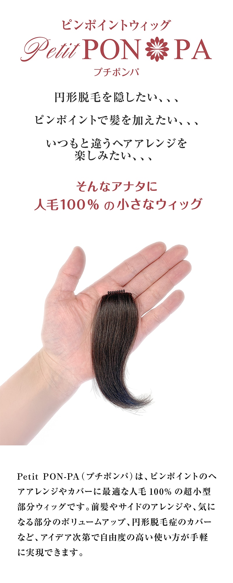 �ץ��ԥ� �˾���ʬ�����å� �߷�æ�Ӿɤˤ⡡Petit PON-PA�ʥץ��ݥ�ѡˤ򤴾Ҳ𤷤ޤ�