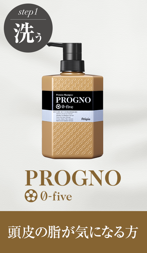 ѥץƥ󥷥סץΡ-ե֡ڰʡ