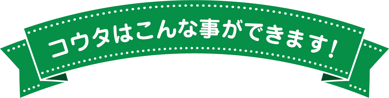 コウタはこんな事ができます