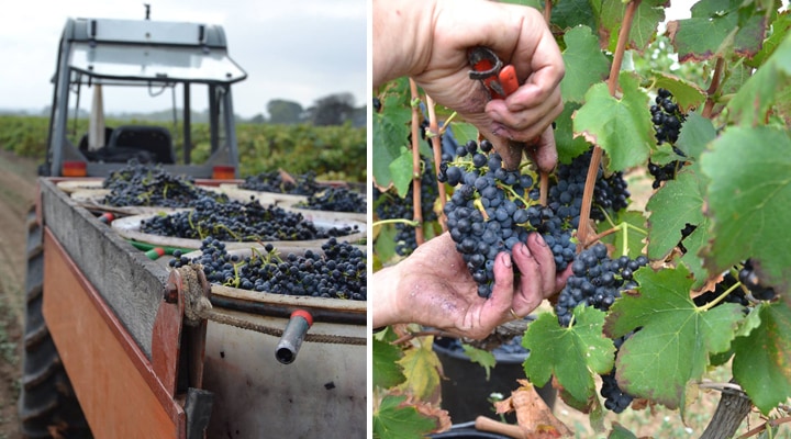 ���顼�μ���