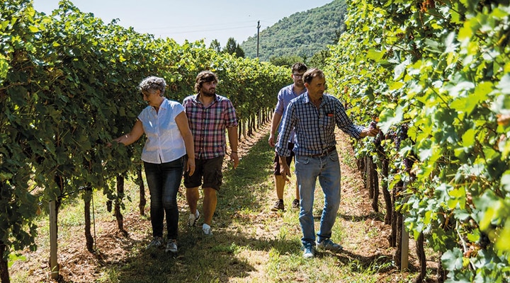 ヴァルポリチェッラ スペリオーレ DOC - イタリアワイン | イタリア,北