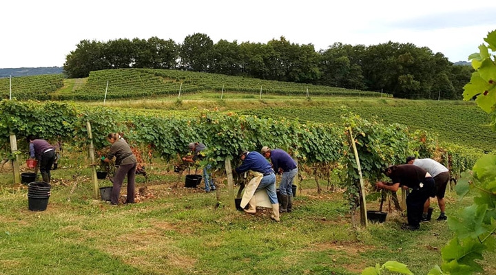 ���륯���Ρ����Ȫ