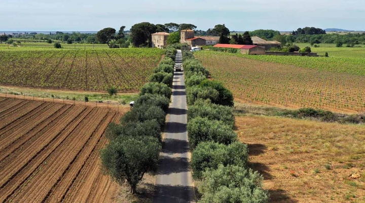 ���꡼�֤ξ�ϩ