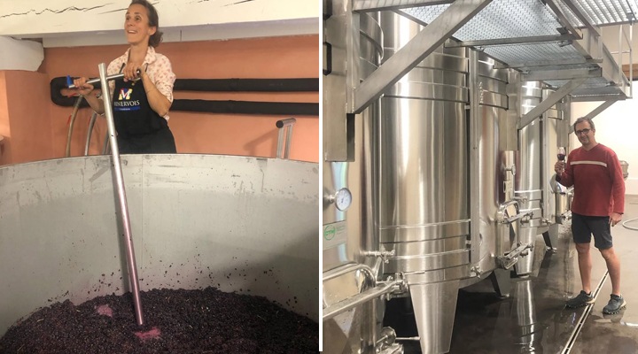 シャトー・ギュエリー・グリ - フランスワイン | フランス,ラング