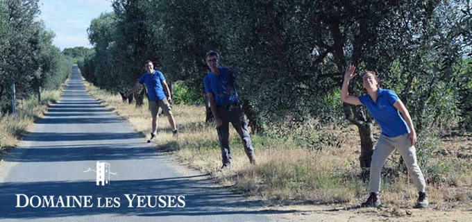 �ɥ᡼�̡��졦�襺