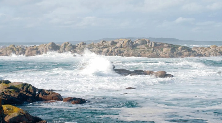 ペドラロンガ・カロリーナ - スペインワイン | スペイン,リアス