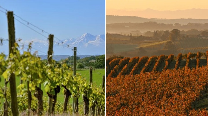 �ޥǥ�����Ȫ